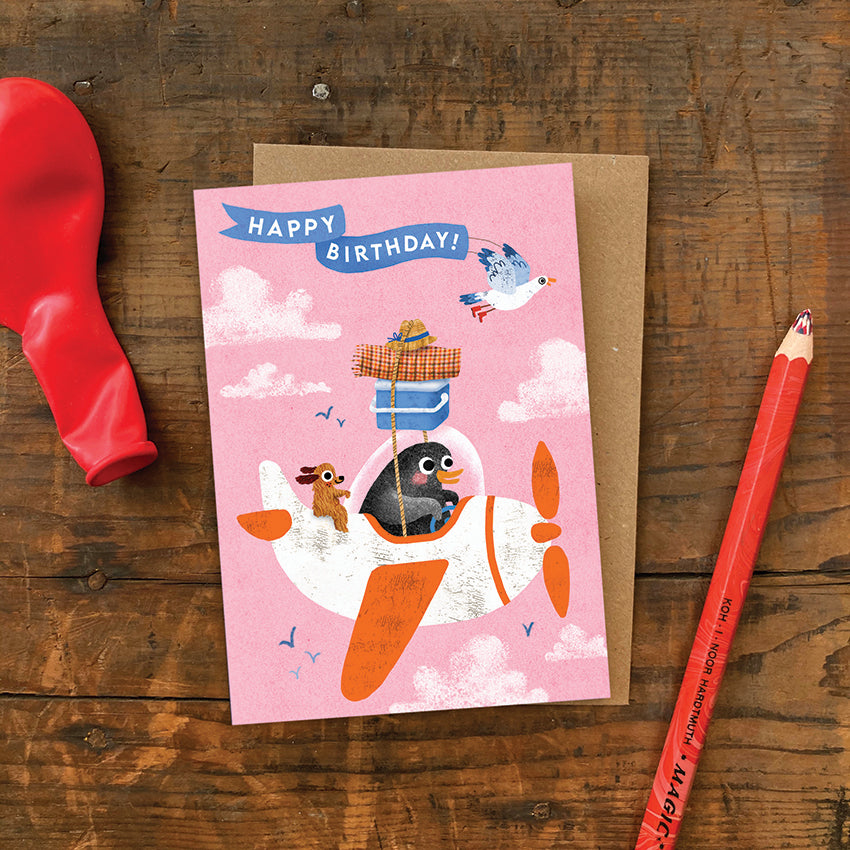 Birthday Aeroplane Greeting Card image 1