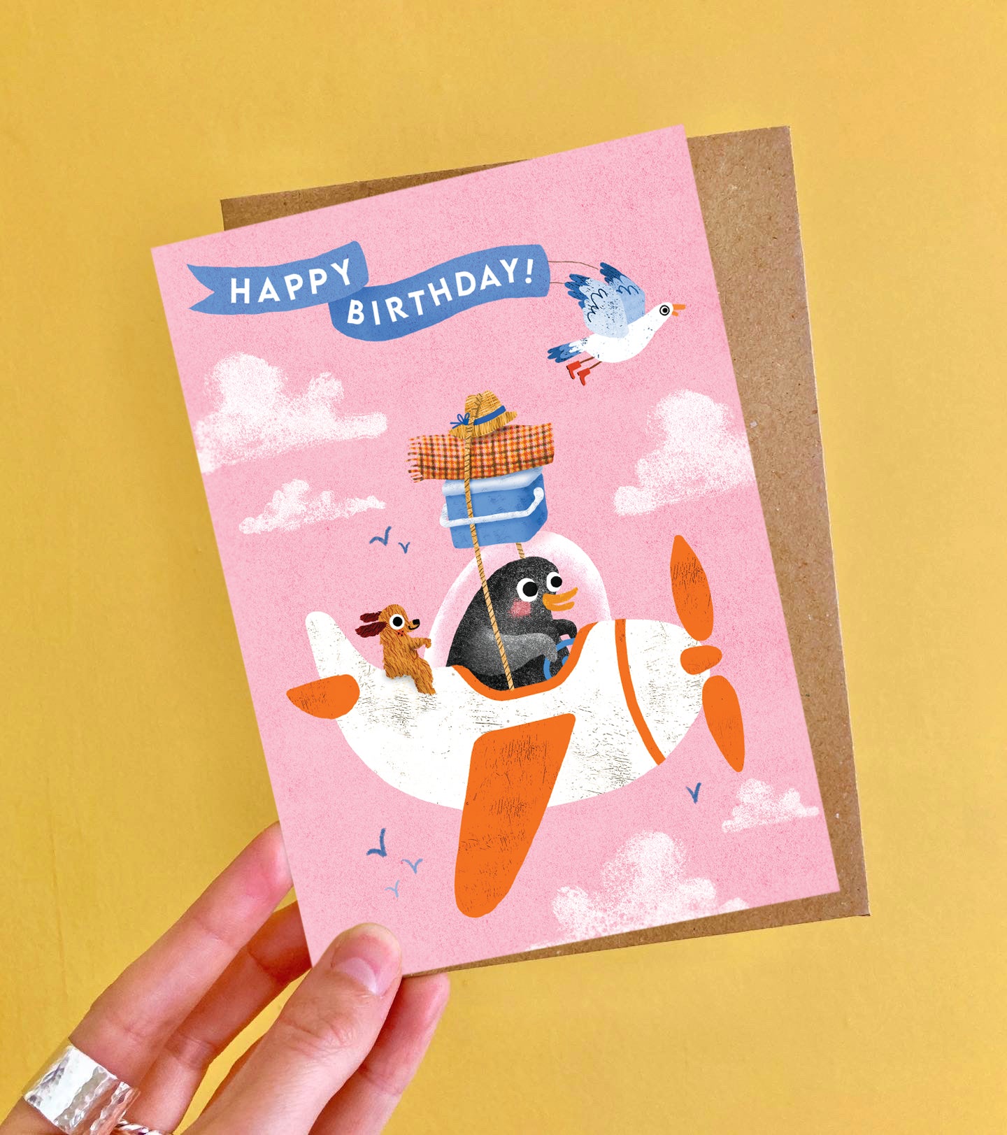 Birthday Aeroplane Greeting Card