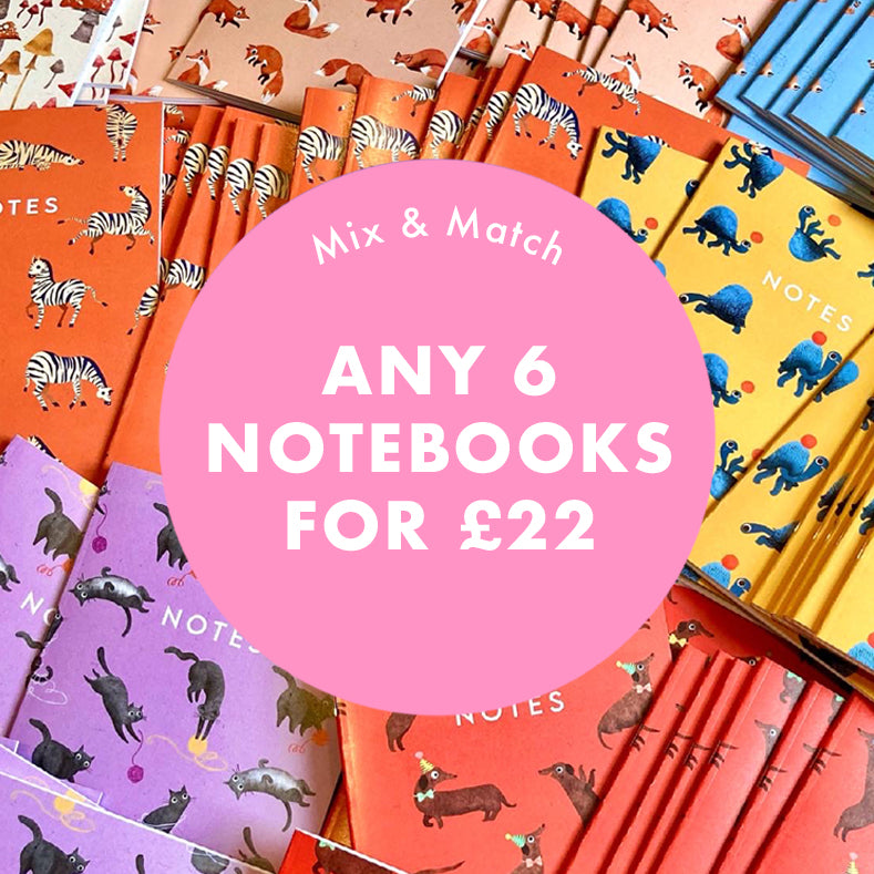 Bundles of 6 Notebooks - Mix & Match
