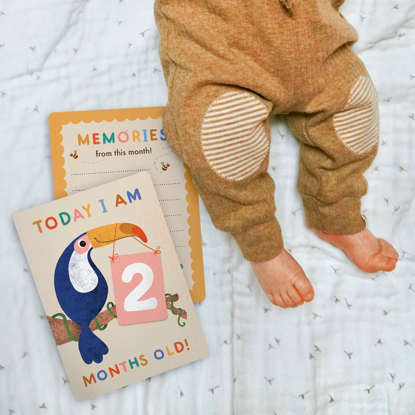 Baby Milestone Cards | Animal Themed Keepsake Cards